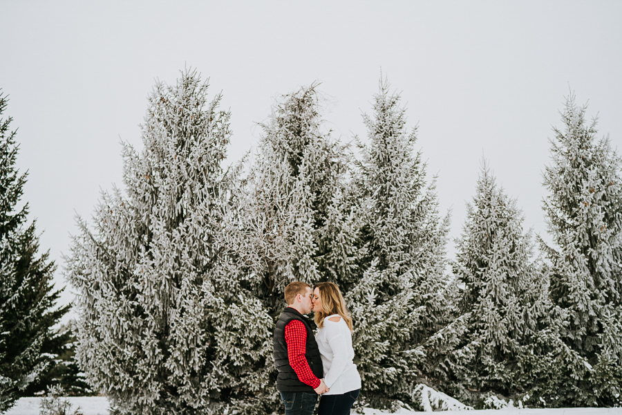 snowy pine trees engagement
