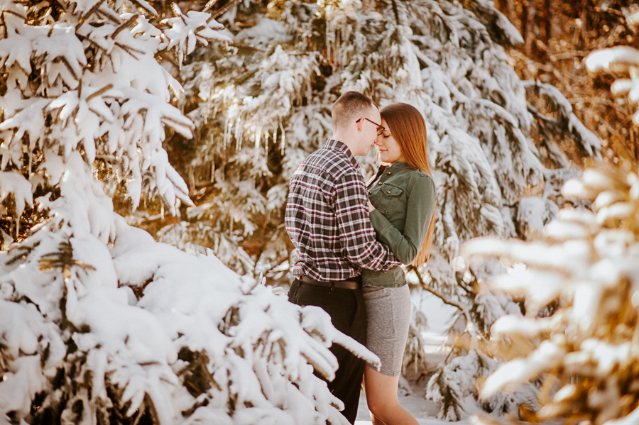 Winter snowy trees engagement