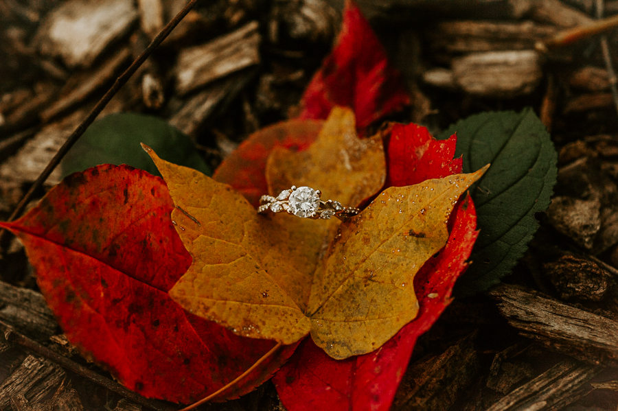 Ring detail shot with leaves