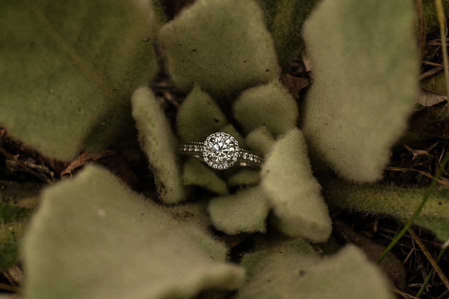 Ring detail with plant