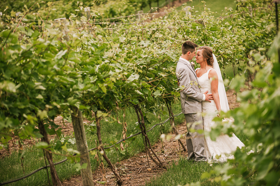 Bride and groom in vineyard
