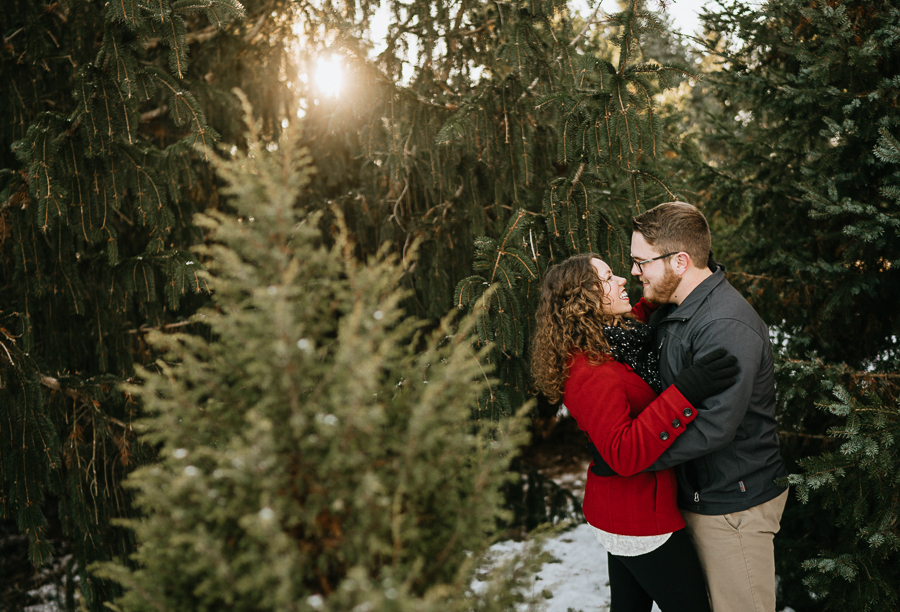 Winter pine trees with couple
