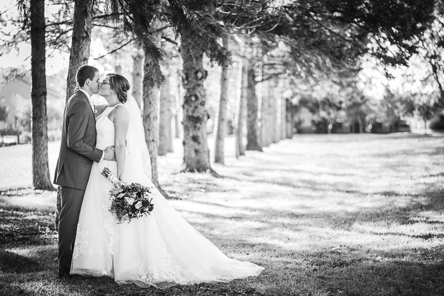 Bride and Groom in tall trees